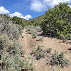 5.5 acres in Ft Garland, Colorado (Costilla County) - APN 70224790 (photo 5)